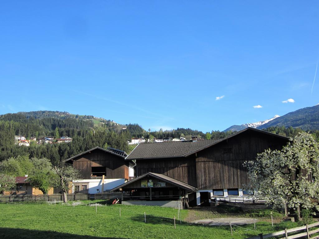 Mandlhof Holiday home *
